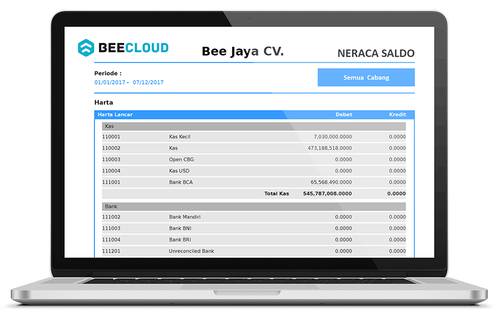 Software Akuntansi Online Tampilan Laporan Neraca