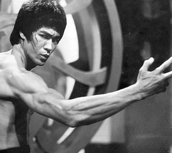 jurus bruce lee - Profit Booster