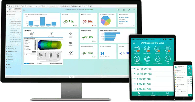 Sap Business One