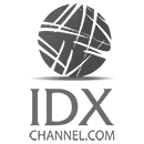 logo idx