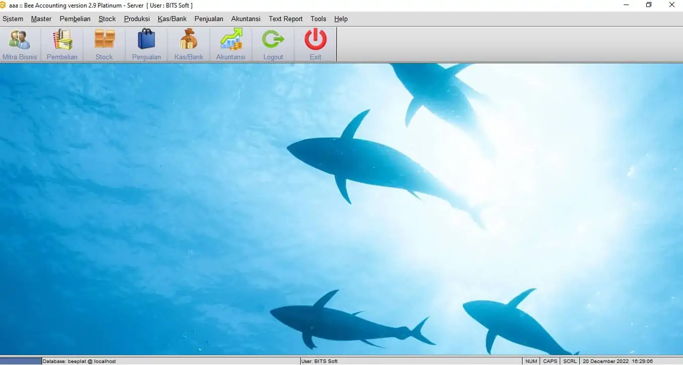 Mengembalikan Background ke Default Beeaccounting