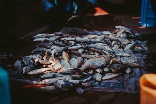 Ilustrasi Pasar Ikan