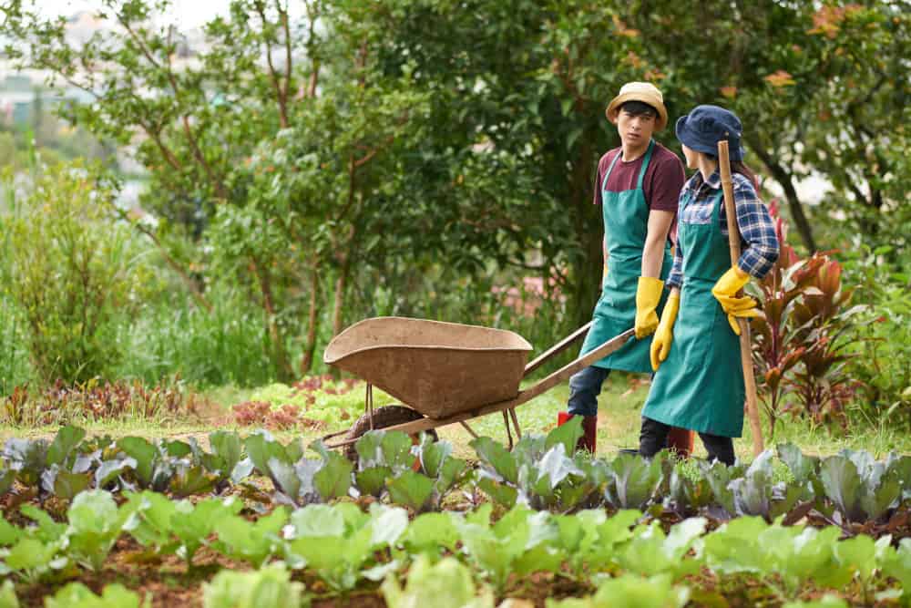 agribisnis adalah