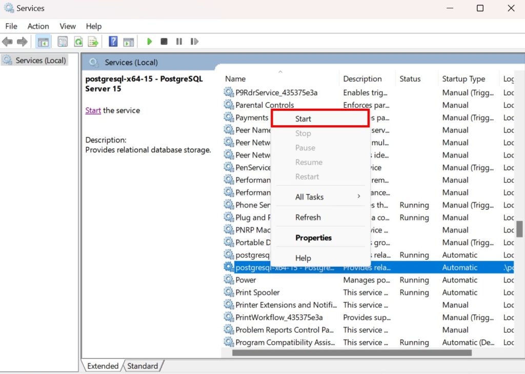 Start Service Postgre